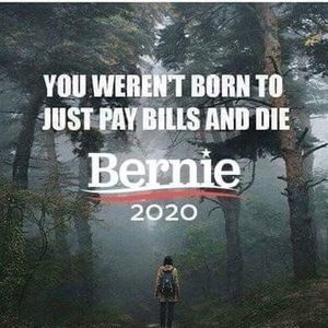 Meet your Posher, Adrian